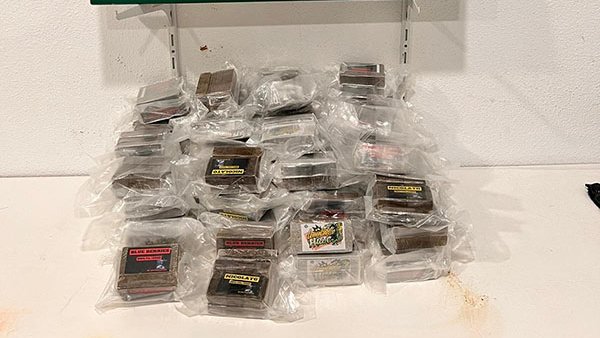 La droga també va passar a disposició judicial