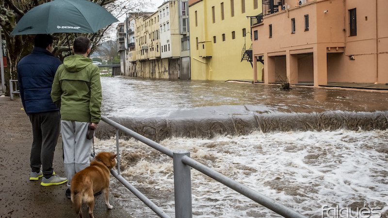 El cabal continua sent molt superior a l'habitual