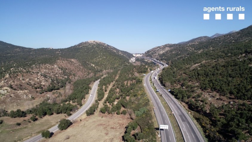 Pla general de l'última zona desbrossada