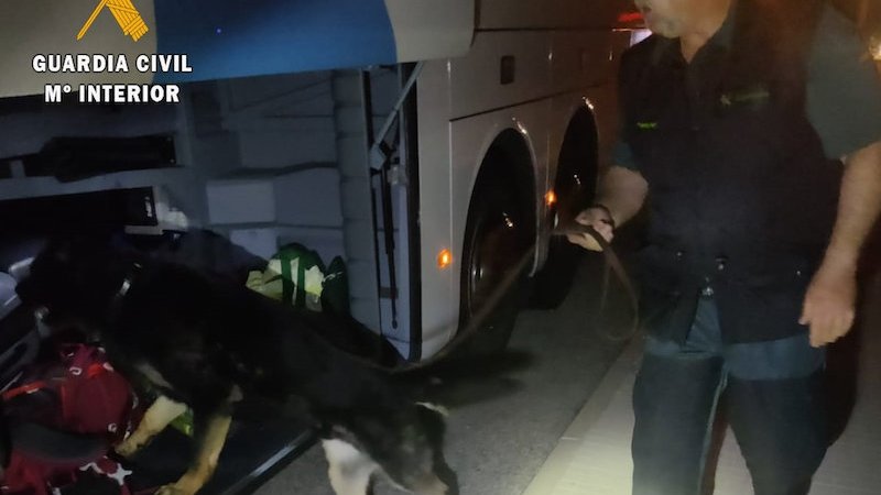 Un gos de la Guàrdia Civil rastrejant l'equipatge d'un autobús
