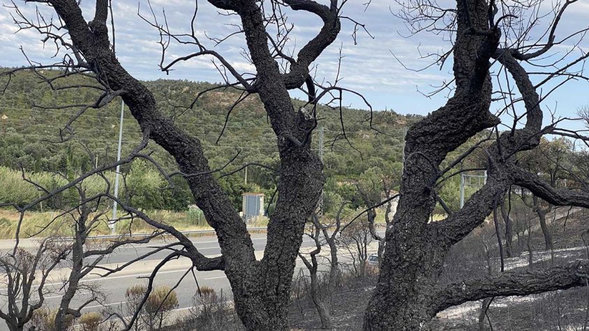 El corredor d'infraestructures és un focus d'incendis freqüents