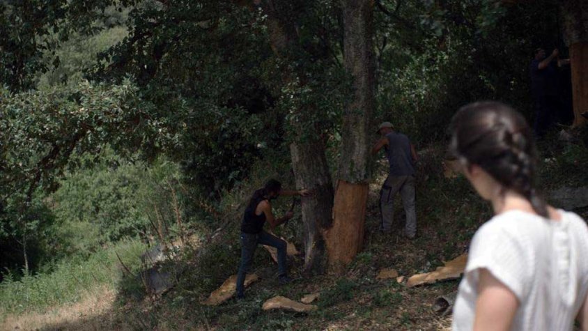 Fotograma de ‘Suro’, la pel·lícula ambientada a l'Albera