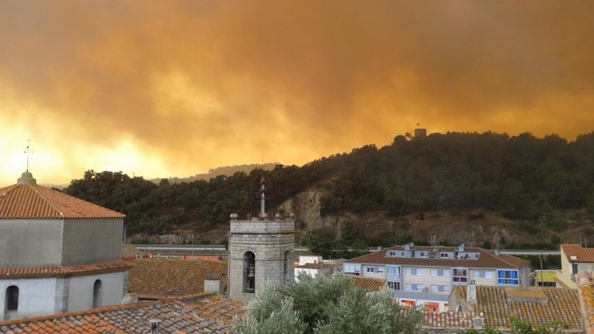 El gran incendi de l'Albera deu anys després. Foto Marta Salellas