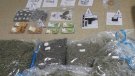 A presó un detingut a Capmany que transportava més de 19 kg de marihuana, una arma de foc i 60.000 euros