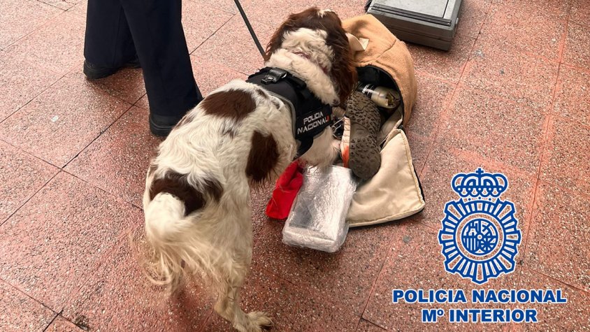 L'operació va comptar amb la participació d'un agent caní (cliqueu per ampliar)