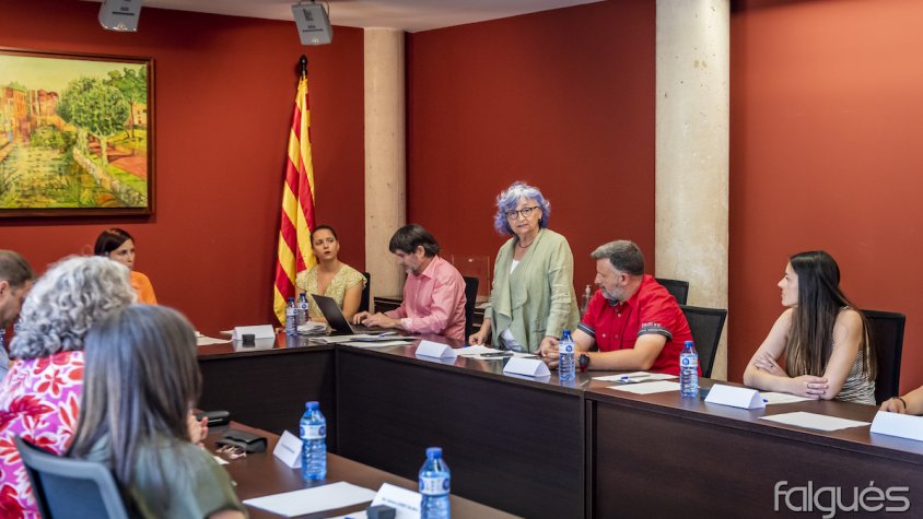 Anna Pérez, pronunciant el discurs al ple