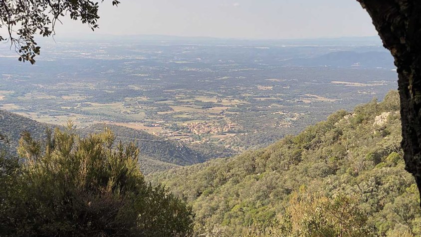 Els ecologistes reclamen més protecció per l'Albera (imatge d'arxiu)