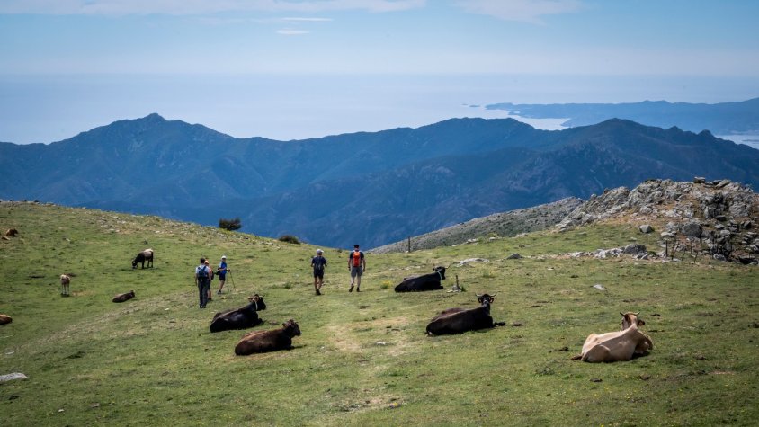 Imatge presa durant l'última travessa tradicional organitzada pel CEJ