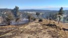 Un petit foc forestal crema a la zona de Can Guerra d'Agullana