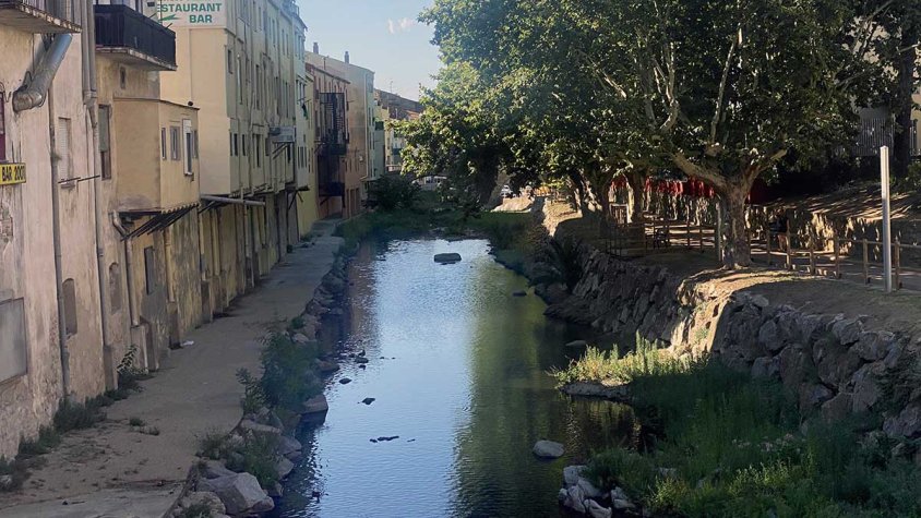 Riu LLobregat a la Jonquera el matí del 31 de juliol de 2023