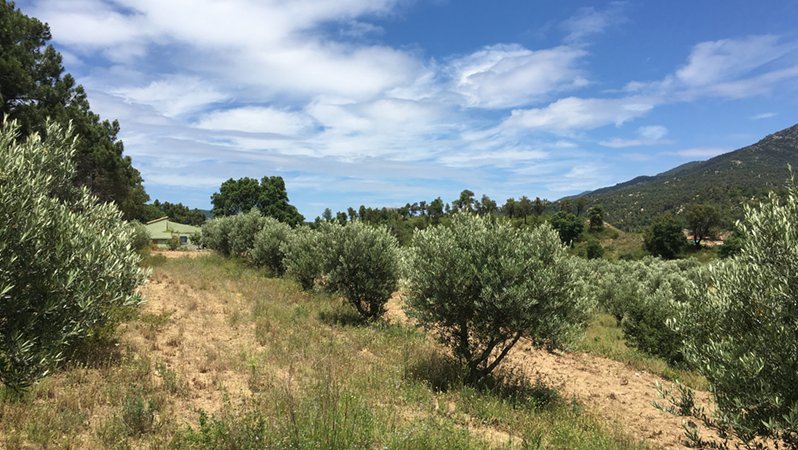 La finca en qüestió està ubicada a la zona dels Querols