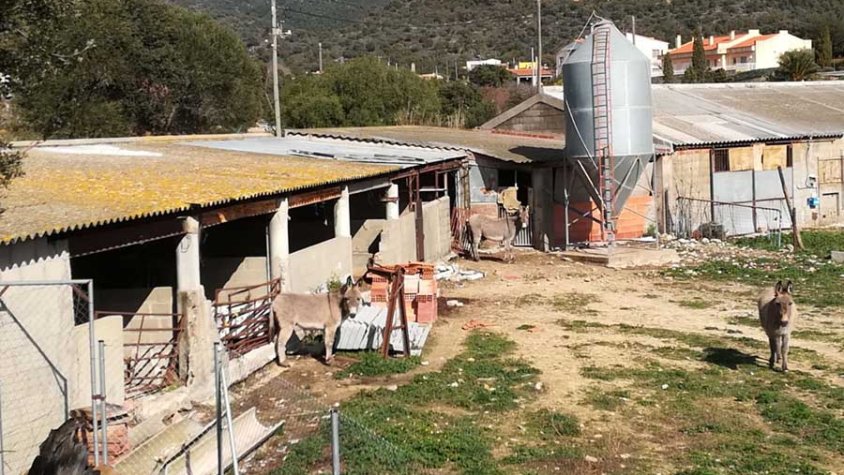 La granja, en una imatge d'arxiu