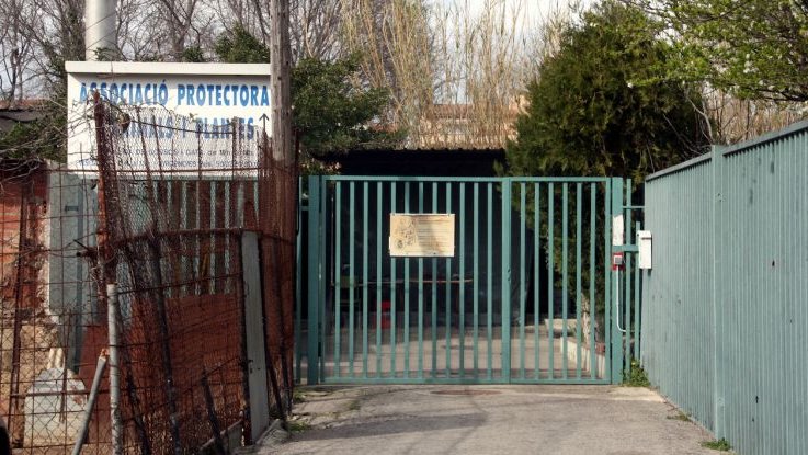 El Consell Comarcal gestiona el servei a través de la protectora de Figueres (imatge d'arxiu)