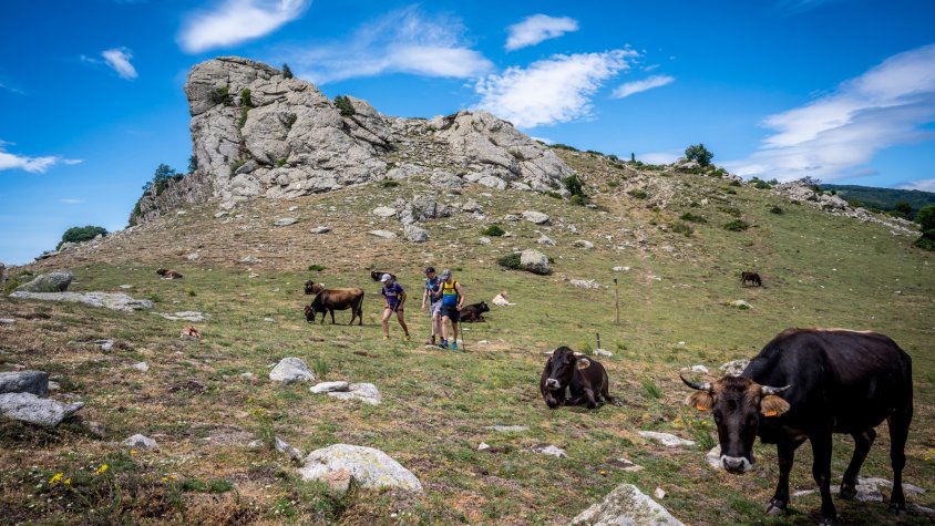 Aquest estiu es muntaran unitats operatives d'actuació a l'Albera