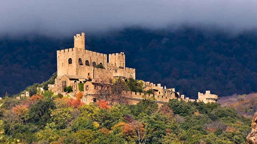 Els boscos més alts de la serra de l'Albera sovint queden immersos en boires.
