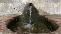 De Santa Llúcia a la Tanyareda, o del cementiri a la Rovellada. On estan les fonts jonquerenques?