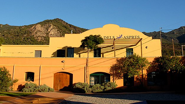 El celler, a Cantallops