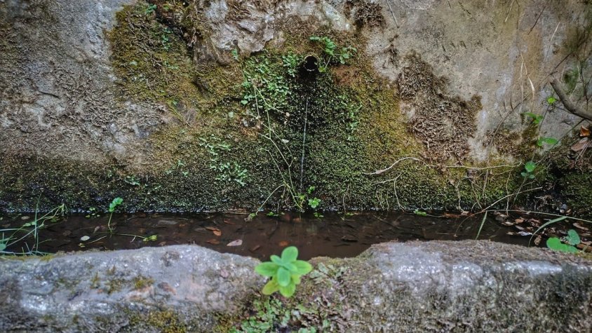 De la Mina del Mas Rius encara hi brolla l'aigua a dojo