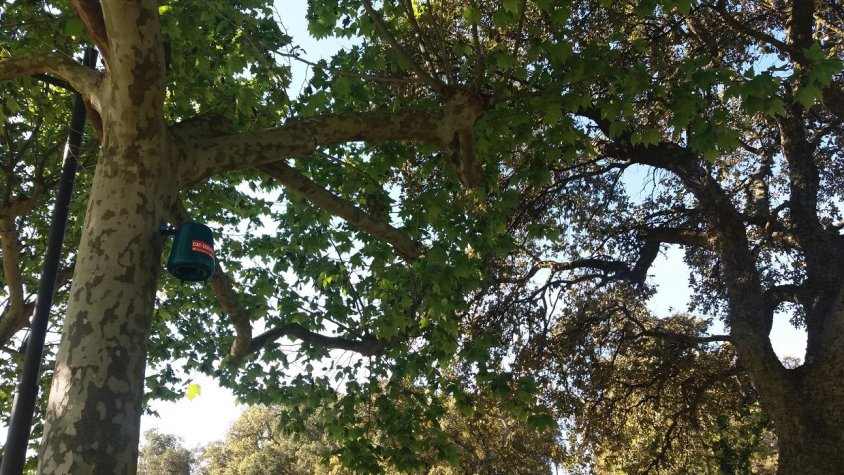 Una de les trampes, al camp de futbol