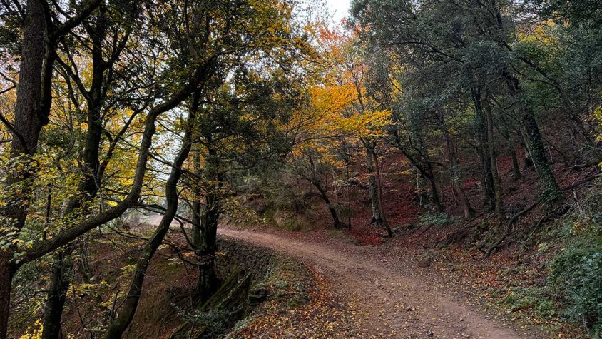 Excursió de tardor a l'avió estavellat de Cantallops