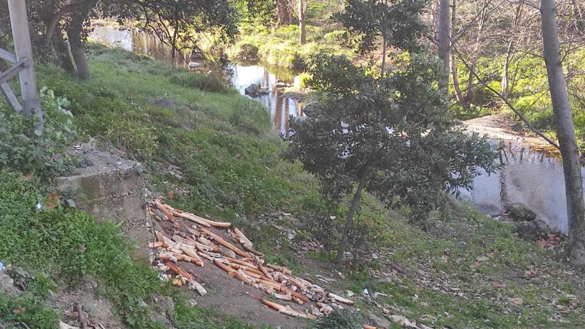 Abocador il·legal o menjadora amb bones intencions però d'efectes contraproduents