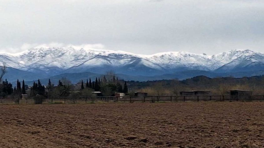 La neu enfarina l'Albera