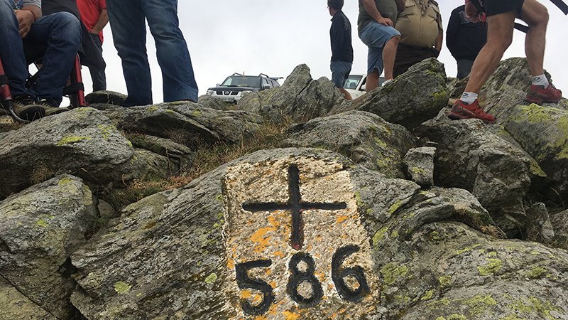 Revisió de mugues l'estiu de 2017