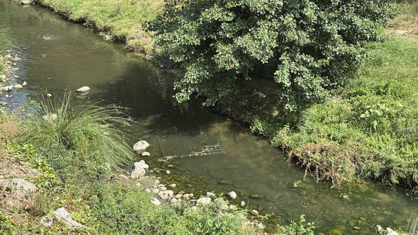 Una nova mostra d’incivisme al riu Llobregat d’Empordà, al seu pas per la Jonquera