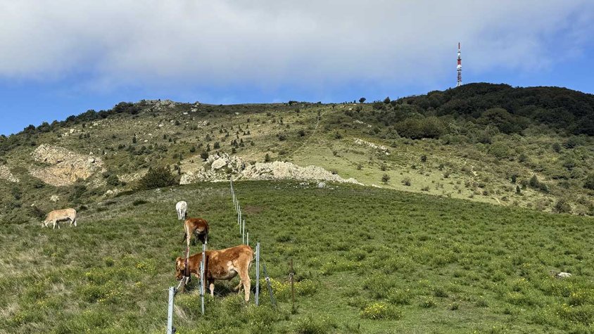 El Puig Neulós aquest mes de setembre