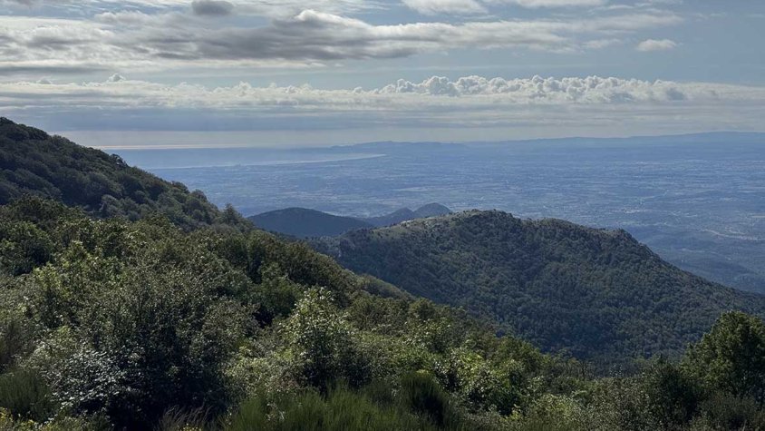 Collades del Parnal, a la muntanya de Requesens