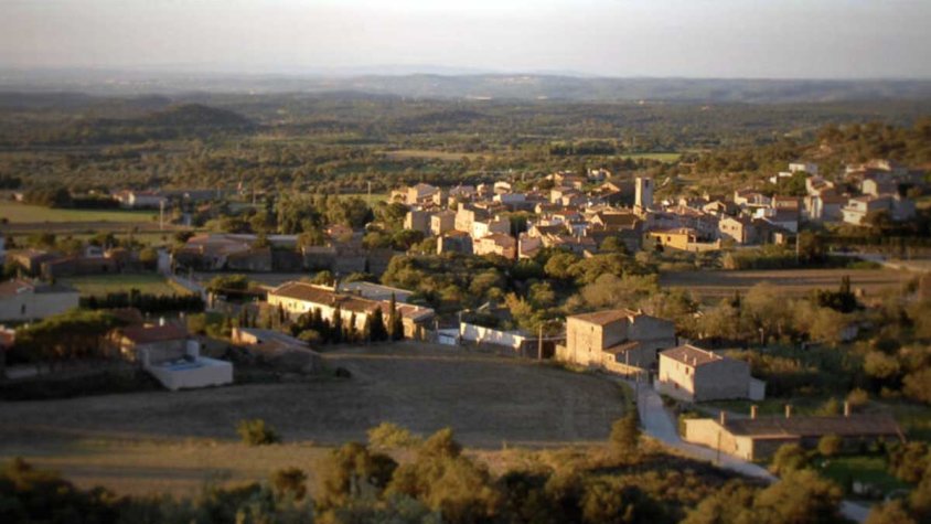 Ho hem llegit: 'les excel·lents valoracions dels vins de Vinyes dels Aspres de Cantallops'