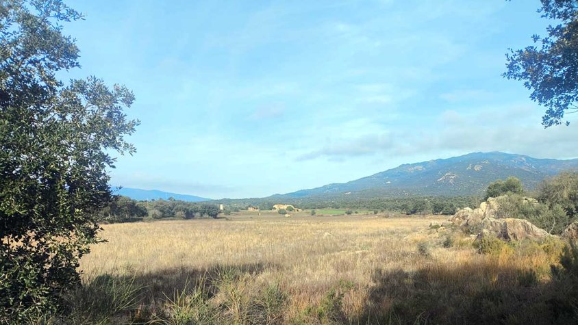 I si les precipitacions no han estat tan efectives com indiquen les dades?