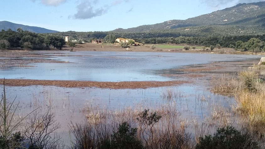 Les pluges de la llevantada Harry deixen plenes les basses i estanys de l'Albera
