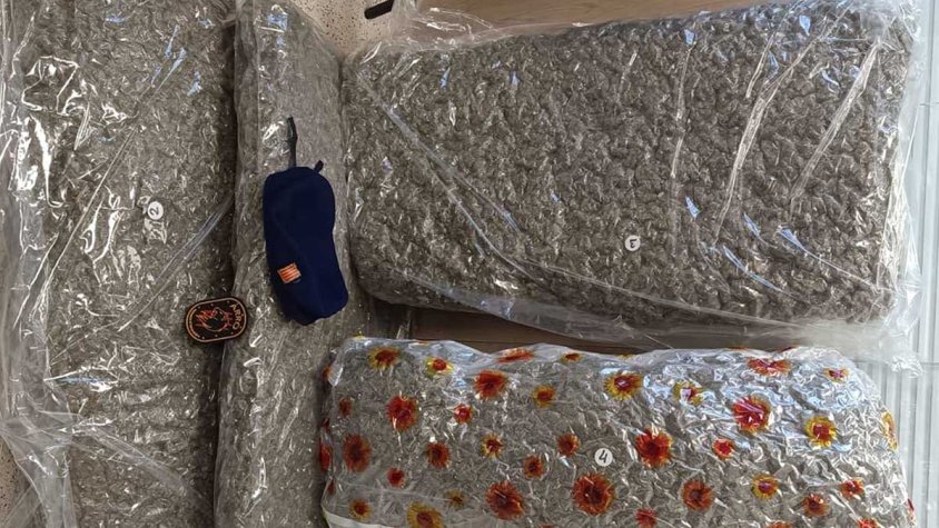 Detingut a la Porta Catalana amb 33 kg de marihuana al cotxe