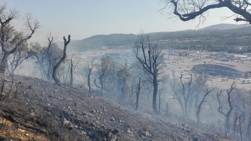 Ha cremat una zona molt propera al poble i a tocar de la carretera de Canadal