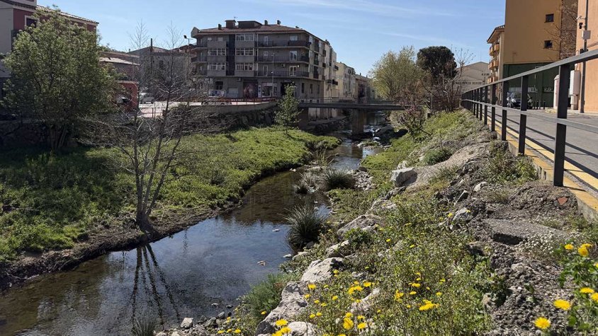 El Llobregat d'Empordà a la Jonquera aquests primers dies d'abril