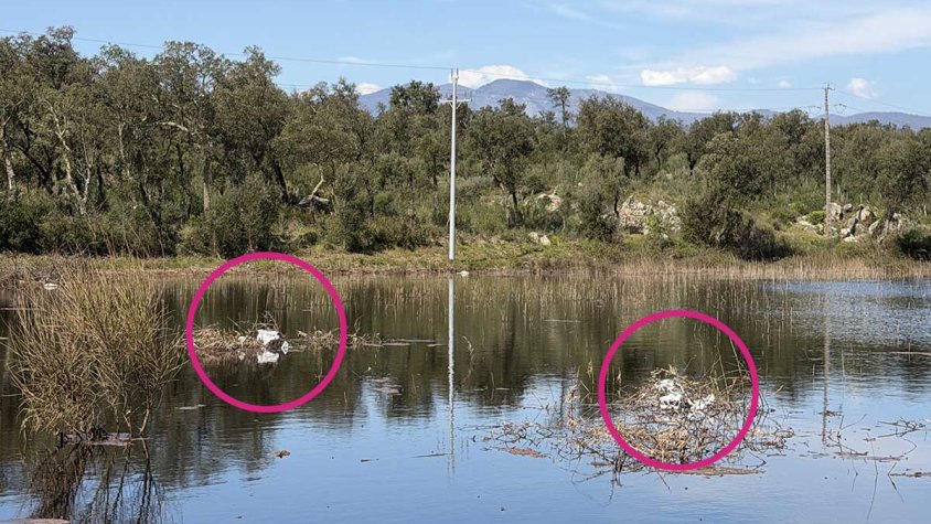 Alta afluència de visitants a la serra de l’Albera després de l’episodi de vent