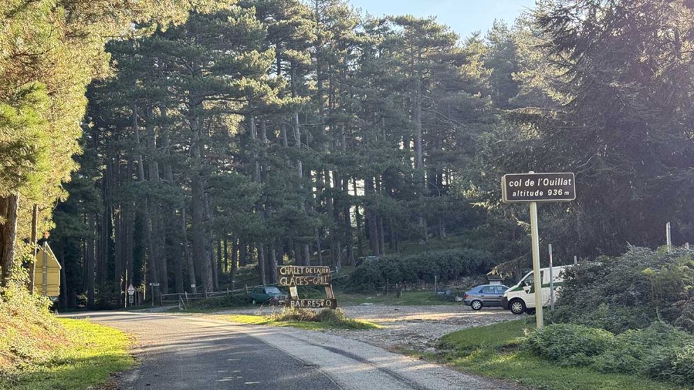 La curiositat forestal del Coll de l’Ullat: un bosc cors al cor de l’Albera