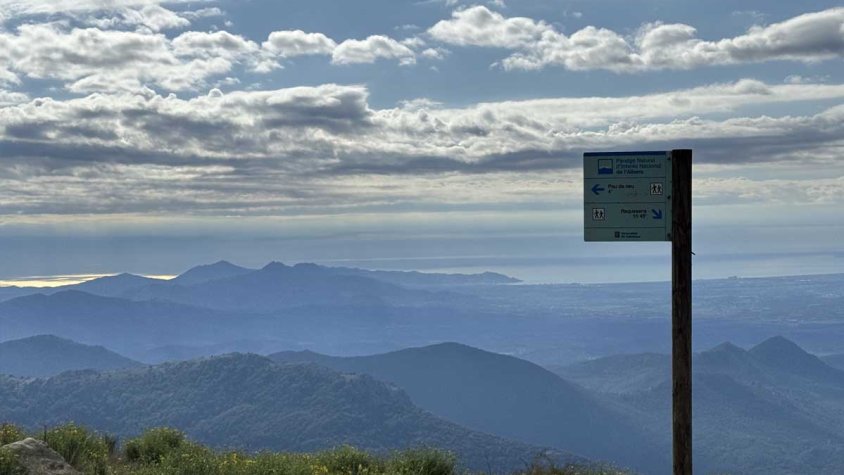 El Govern activa els primers tràmits per declarar el Parc Natural de l’Albera