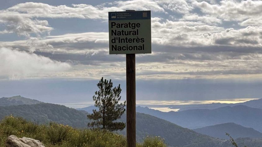 Pas decisiu cap al Parc Natural de l'Albera després d'anys de reivindicació del territori