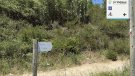 Tovalloletes i kleenex al costat de la ruta GR-11 i Pirinexus